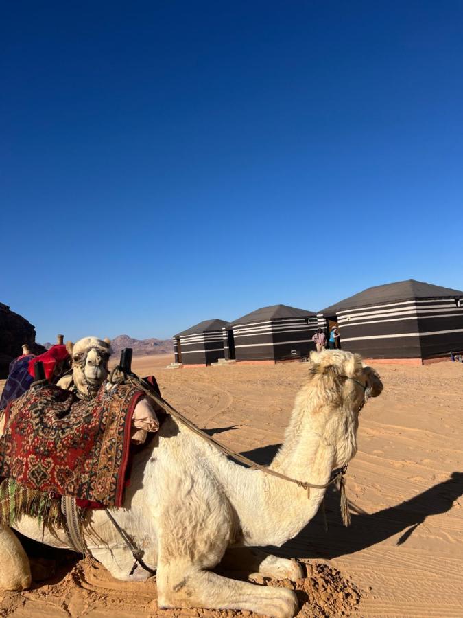 Wadi Mars Camp Luxury tent
