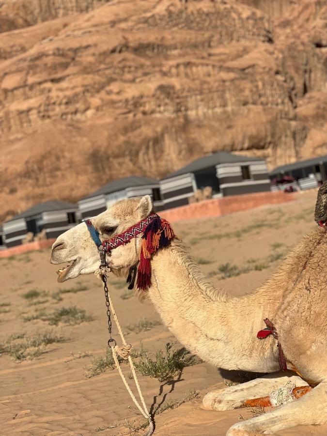 Wadi Mars Camp